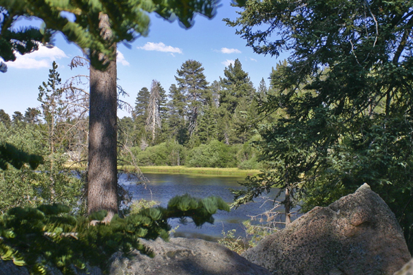 About 1 — Bluff Lake Nature Center