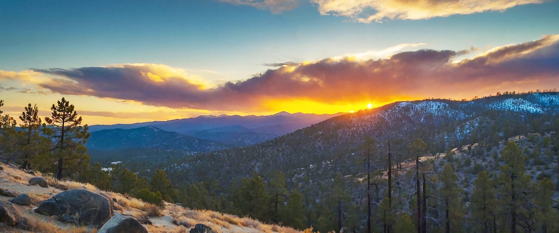 San Bernardino Mountains Land Trust